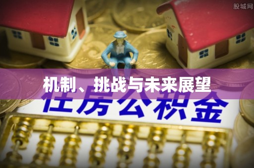 襄州机制、挑战与未来展望